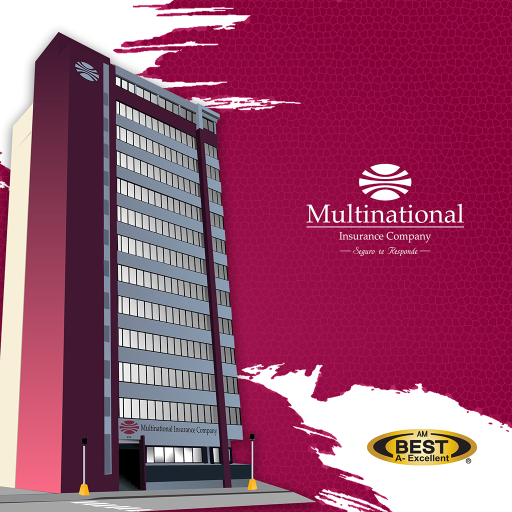 Multinational Insurance